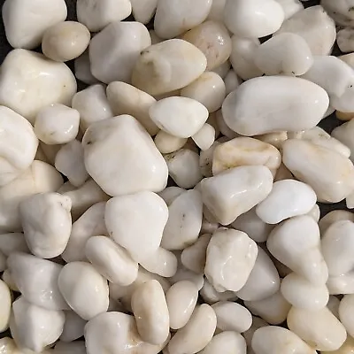 £2.99 • Buy 100g Natural White Pebbles Stones Decorative Home Garden Plant Fish Tank  5-10mm
