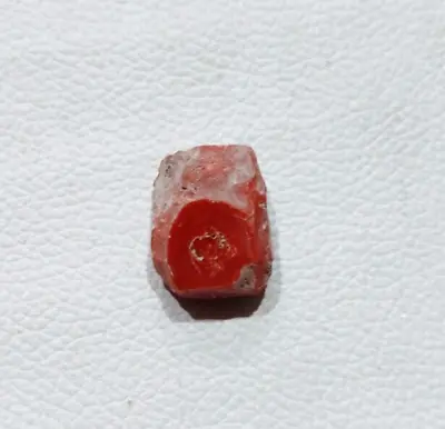 Vintage 100% Natural Red Coral Rough Gemstone Mediterranean Italian Coral Rough • $45.30