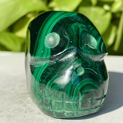 343G Natural Malachite Quartz Skull Hand Carved Crystal Skull Reiki Healing • $0.99