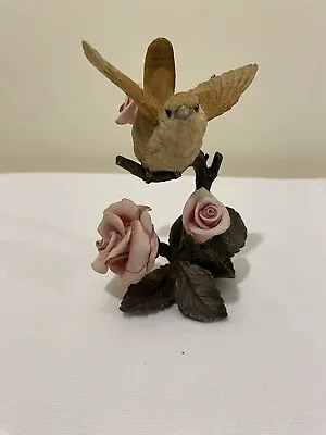 Country Artists Wren On Branch Figurine • £12