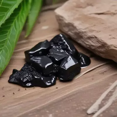 Shilajit 100% Pure Tested Himalayan Mumiyo Mumio Shilajeet Free Ship • $8.50