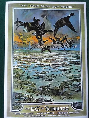 Duck Hunting Poster E.C. Or Schultze Shot Shells Lynn Bouge Hunt Artist • $7.50