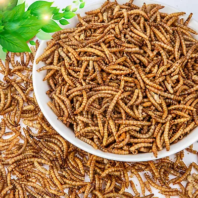 Amzey Non-GMO Dried Mealworms For Chickens High In Protein Mealworm Treats LOTS • $7.95