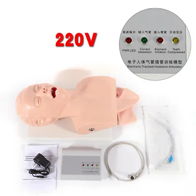 $219.99 • Buy Adult Airway Management Trainer Lab Intubation Manikin Study Teaching Model USA 