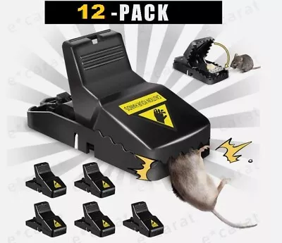 6 Pack Mouse Traps Mice Killer Snap Trap Power Rodent Heavy Duty Pest Trap (6x2) • $12.97