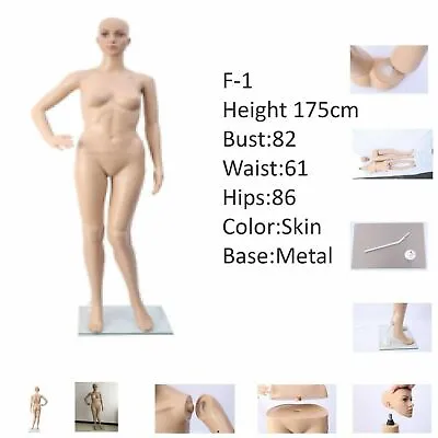 £119.99 • Buy New Full Body Dummy Mannequin Retail Dressmaker Lady Female Shop Window Display