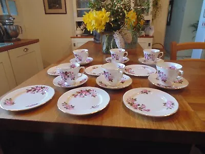 Ridgway Bone China Queen Anne. 18 Piece Tea Set. • £12.99