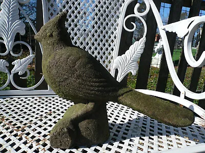 Weathered And Worn Old Cardinal Vintage Cement/concrete Garden Statue • $129.50