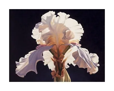 Ed Mell - Flower Offset Lithograph • $702.41