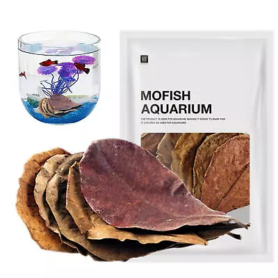 20Pcs NEW Indian Catappa Almond Leaves Shrimp Betta Fish Aquarium Care • $16.79