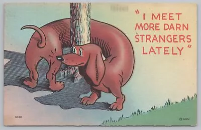 Animal~Dachshund Around Pole~I Meet More Darn Strangers~Vintage Postcard • $2.80