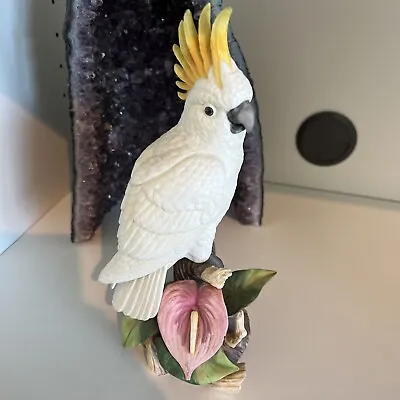 $30 • Buy Andrea By Sadek Sulphuric Crested Cockatoo #9771