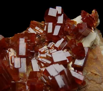 VANADINITE Beautiful RED Lustrous Crystals ! MOROCCO Mibladen /pi882 • $19.99