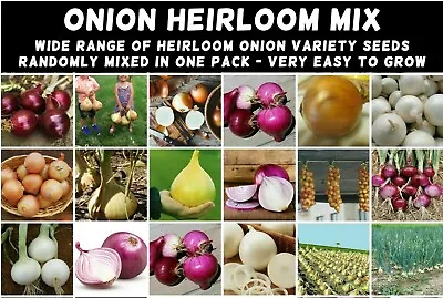 ONION Heirloom Mix 100 NON-GMO Garden Seeds ALL TYPES DELICIOUS Overwinter Tasty • $5.99