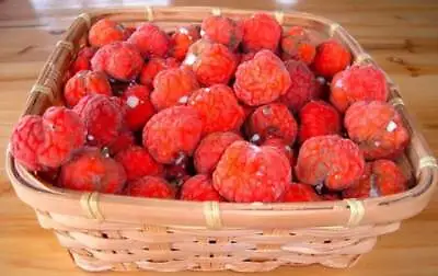 1-1000 PCS Chinese Mulberry Silkworm Tree Seeds Melon Berry Fruit Flower 0182 • $3.24