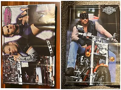 Vintage 2001 Hardy Boyz & Undertaker Double Sided Reversible Poster WWF WWE • $63