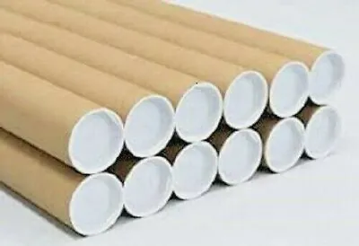 20 2  X 12  Cardboard Shipping Mailing Tube Tubes Cores With End Caps • $29
