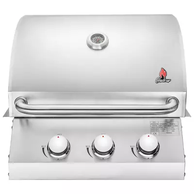 3-Burner BBQ Grill Built-in Propane/Natural Gas Stainless Steel 30000 BTU • $597