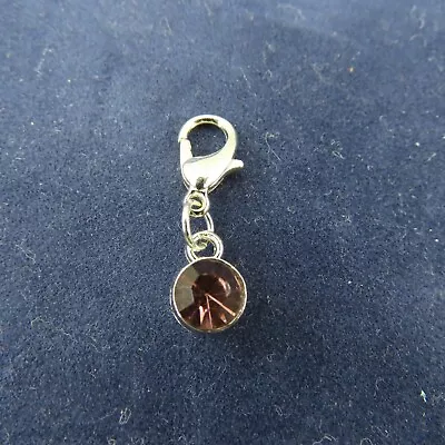 FEBRUARY Birthstone Crystal Charm Zipper Pull Keychain Add On Clip Silver Tone • $5.88