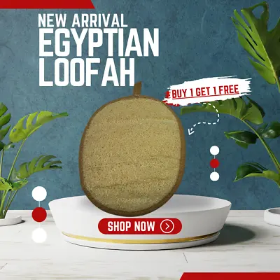 Natural Oval Loofah Sponge Real Egyptian Bath & Shower Exfoliating Body Scrubber • $20