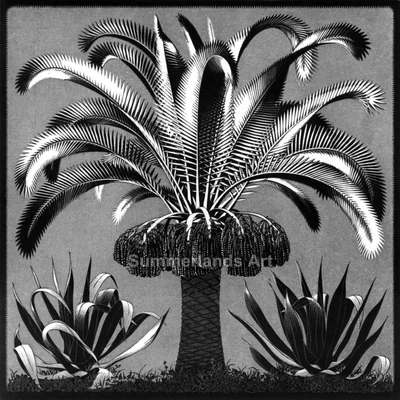 £25.99 • Buy MC Escher Palm Giclee Fine Art Print Paper Or Canvas Large Various Sizes