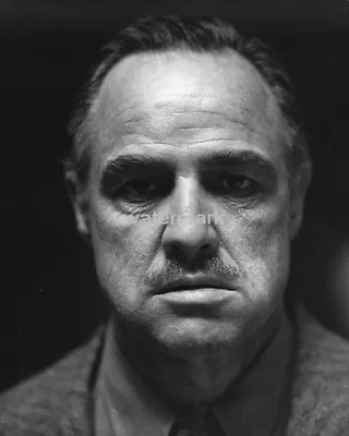 THE GODFATHER 8x10 GLOSSY PHOTO Photograph Print Marlon Brando Vito Corleone • $11.99