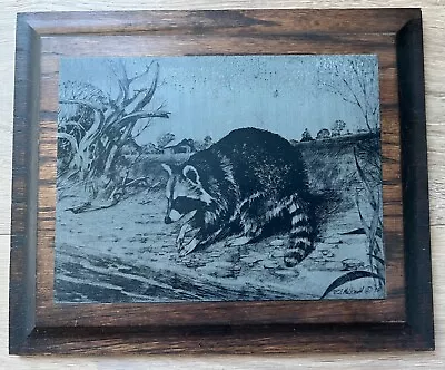 Vintage Signed R. J. McDonald Nature Etchings Of Raccoon 1975 • $22.50