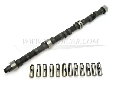 Volvo 430013 Camshaft Type C Including Lifters  164 B30A B30E B30F • $371.52