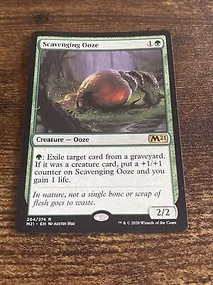 Scavenging Ooze (204) 2021 M21 MTG Magic The Gathering D1661* • $1.68