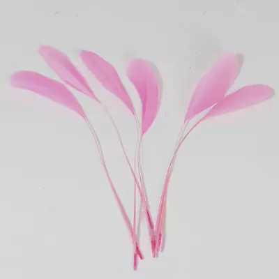 Pink Stripped Coque Feathers Eyelash Trim 15 Pcs 6-8  Hat Millinery Fascinator  • $7.99