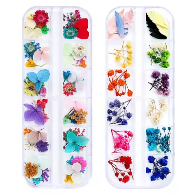 Ifancer 108 Pcs Dried Flowers Nail Art 62 Colors 3D Dry Flowers For Nails 2 • $8.87