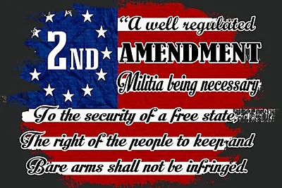 2nd Amendment Gun 4X6 Fridge Magnet SIGN Tool Refrigerator Man Cave DECOR BAR 16 • $1.96