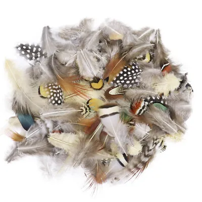 50pcs Random Mixed Natural 4-10cm Pheasant Guinea Feathers DIY Craft Jewellery • $11.95