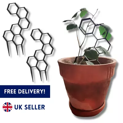 2PCS Hex Hexagon Plant Pot Trellis Fan Garden Flower Support Frame Stake Pole UK • £7.99