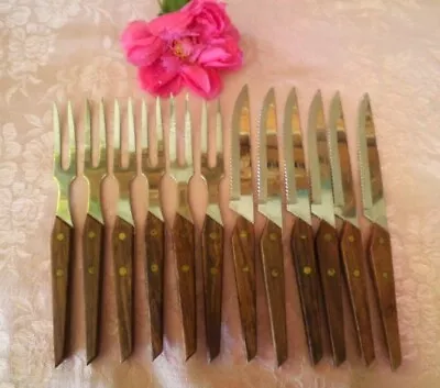 Retro Teak Handle Cutlery Set 12pc Forks Knives Japan Stainless Steel Bbq Set • $44.99