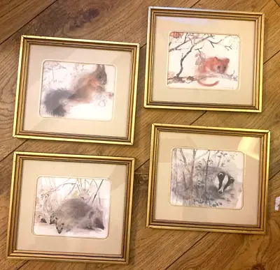 £30 • Buy Mads Stage Watercolour Prints  - Squirrel , Hedgehog, Badger, Mouse ? -Framed