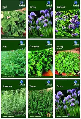 £1.59 • Buy Garden Treasures Fresh Herb Seeds Grow Your Own Indoor Outdoor Sow