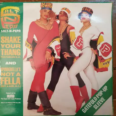 Salt 'N' Pepa - Shake Your Thang / Spinderella's Not A Fella (But A Girl DJ) (Vi • $6.63
