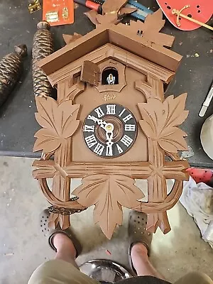 Black Forest Cuckoo Clock 8 Day • $150