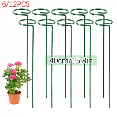 12X Plant Support Stakes Garden Flower Support Single Stem Plant Support Stakes • £7.99