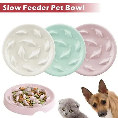 £10.99 • Buy Slow Feeder Dog Bowl Anti Bloat No Gulp Puppy Pet Cat Interactive Feeding Bowl