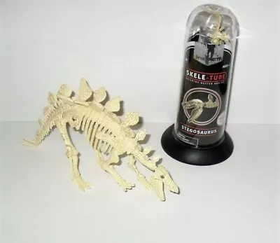 Brainstem Skele-Tube Stegosaurus Miniature Dinosaur Skeleton Model • $17.99