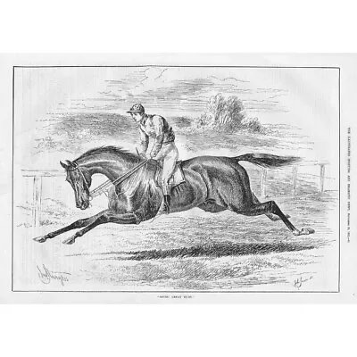 HORSE RACING 'Going Great Guns' By John Sturgess - Antique Print  1882 • £13.99