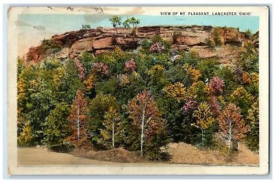 1927 View Of Mt. Pleasant Trees Scene Lancaster Ohio OH Posted Vintage Postcard • $29.95