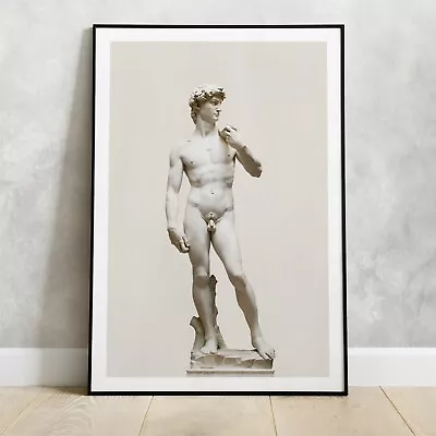 David Statue Poster Michelangelo Sculpture Italian Renaissance 5 Sizes 2 Colors • $35.04