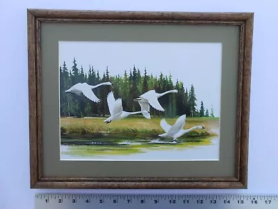 Maynard Reece ALONG THE RIVER-TRUMPETER SWANS 11x14 Framed 3.5 718 • $35