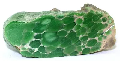 89 Gram Semi Translucent Variscite Spiderweb Gemstone Cabochon Cab Rough EBS7237 • $133.99