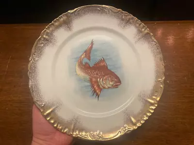 Antique Hand Painted Fish Plate Gold Trim Unmarked • $19.99