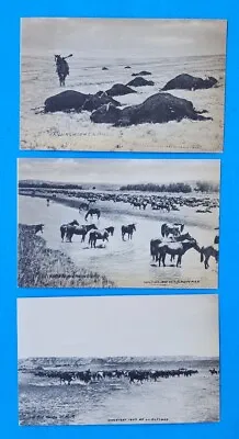 (3) Milestown Miles City Montana MT 1907 L A Huffman Advertising Postcard UNUSED • $24.99