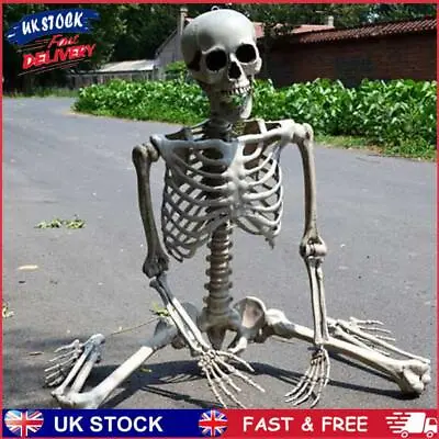 Full Life Size Fake Human Skull Bones Poseable Horror Halloween Party Decoration • £15.19